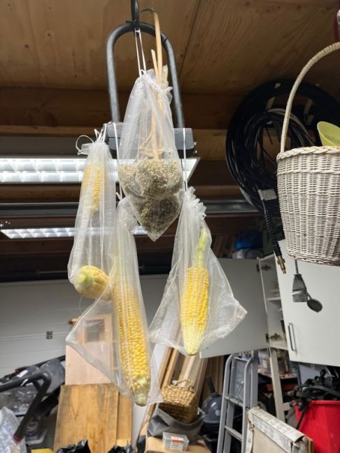 thumbnail_image0 (1).jpg