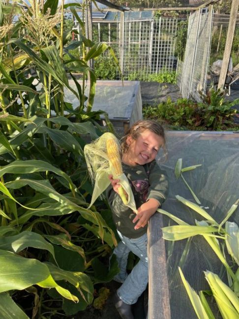 thumbnail_image0 (4).jpg