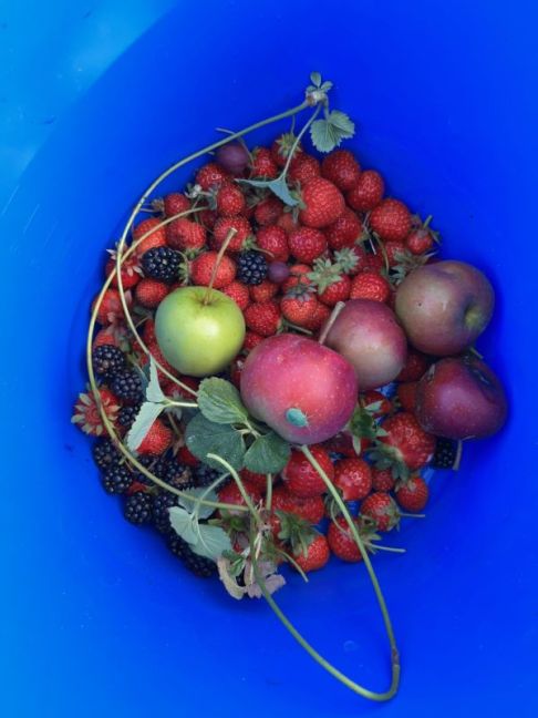 thumbnail_image0 (5).jpg