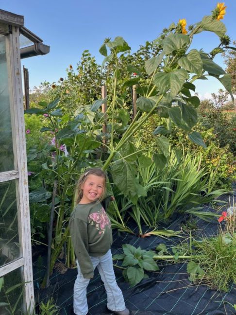 thumbnail_image0 (6).jpg