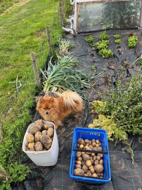 thumbnail_image0 (7).jpg