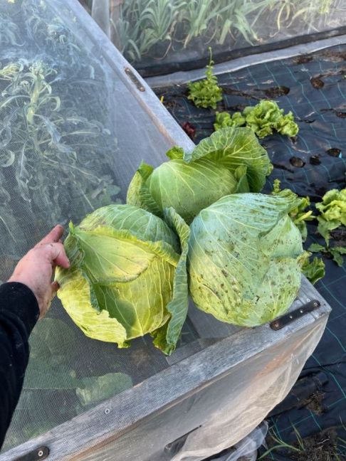 thumbnail_image1 (1).jpg