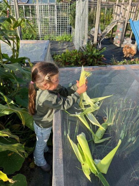 thumbnail_image1 (4).jpg