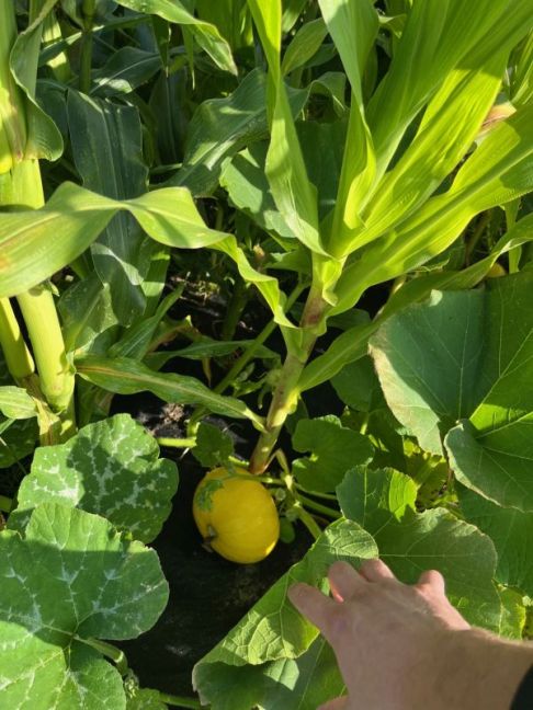 thumbnail_image1 (5).jpg