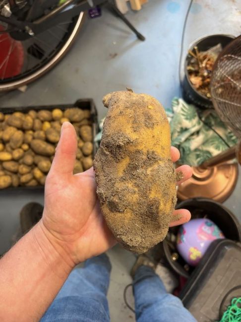 thumbnail_image1 (6).jpg