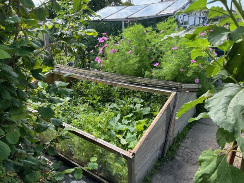 thumbnail_image1 (7).jpg