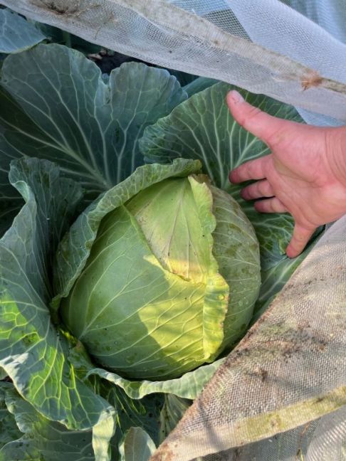 thumbnail_image2 (1).jpg