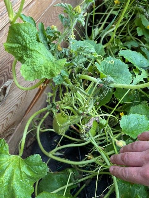 thumbnail_image2 (2).jpg