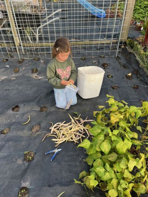 thumbnail_image2 (3).jpg