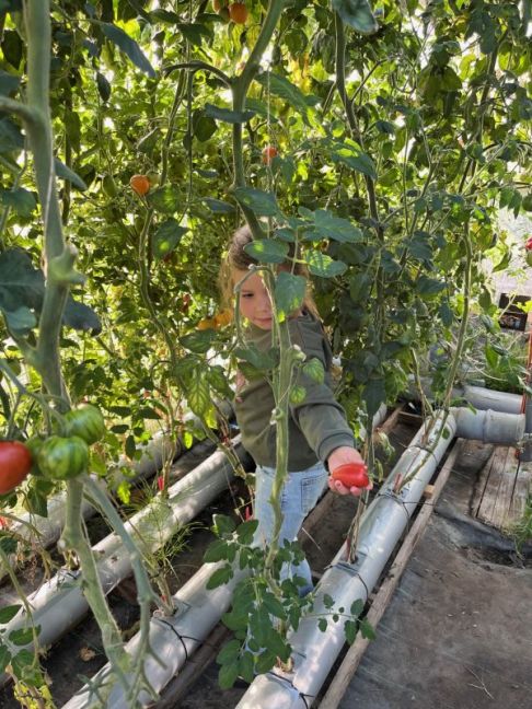 thumbnail_image2 (4).jpg