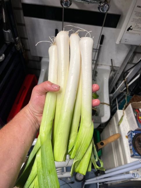 thumbnail_image2 (6).jpg