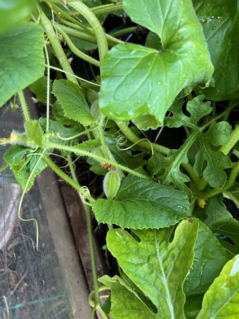 thumbnail_image3 (1).jpg