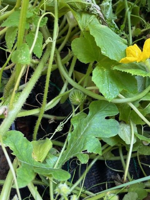 thumbnail_image3 (2).jpg