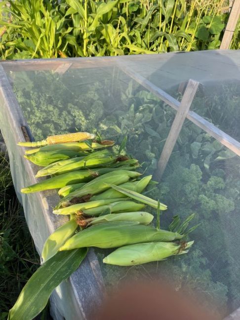 thumbnail_image3 (3).jpg