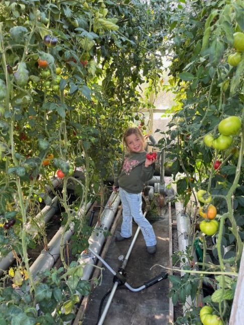 thumbnail_image3 (4).jpg