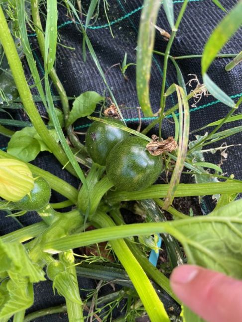 thumbnail_image3 (5).jpg