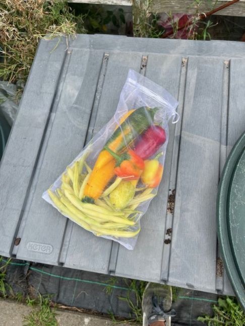 thumbnail_image3 (6).jpg