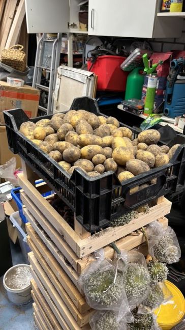 thumbnail_image3 (7).jpg