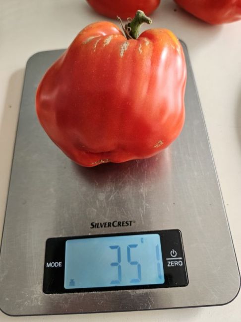 20240922_122456 (1).jpg