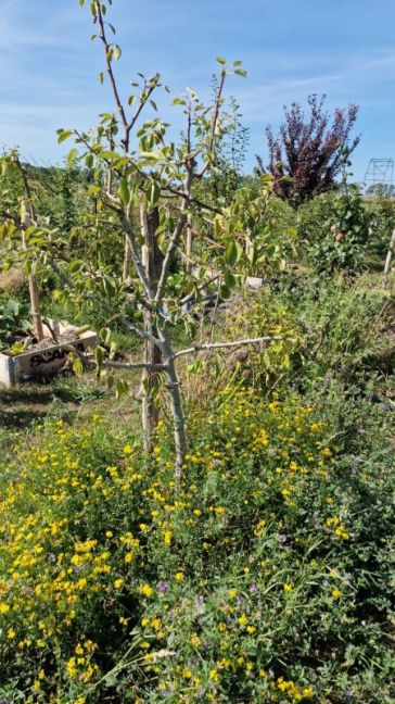 Afbeelding van WhatsApp op 2025-07-12 om 17.22.29_c1ce1581.jpg