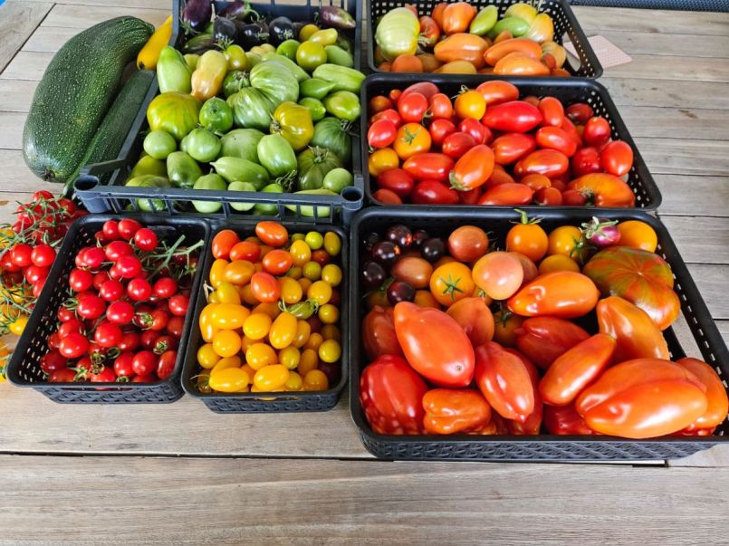 Afbeelding van WhatsApp op 2025-09-27 om 18.05.33_68c0ed7d.jpg