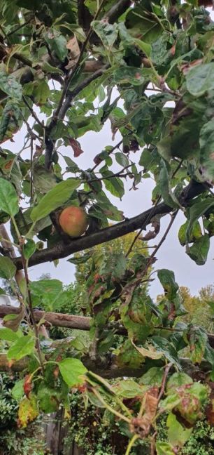 WhatsApp Image 2025-09-29 at 20.06.12(1).jpeg