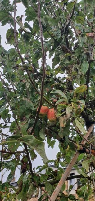 WhatsApp Image 2025-09-29 at 20.06.12(2).jpeg