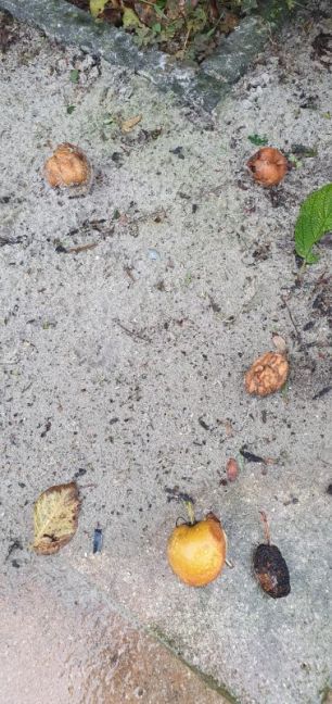 WhatsApp Image 2025-09-29 at 20.06.12.jpeg