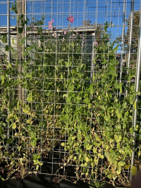 thumbnail_image0 (2).jpg