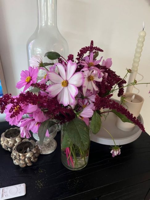 thumbnail_image0 (3).jpg