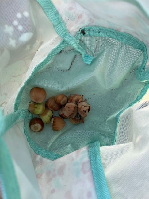 thumbnail_image1 (1).jpg