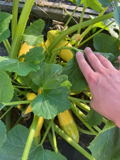 thumbnail_image1 (2).jpg