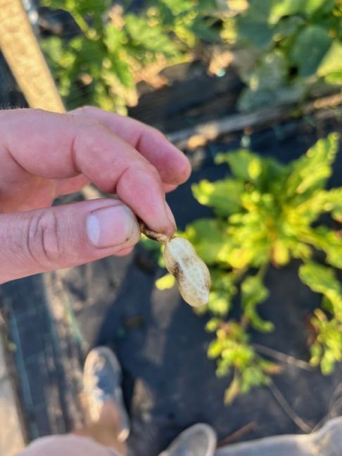 thumbnail_image2 (1).jpg