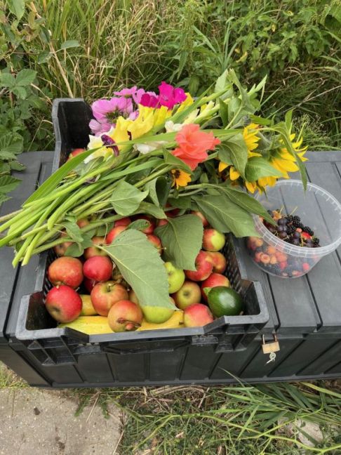 thumbnail_image2 (3).jpg