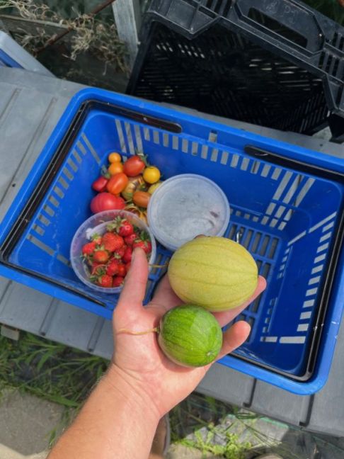 thumbnail_image2 (4).jpg