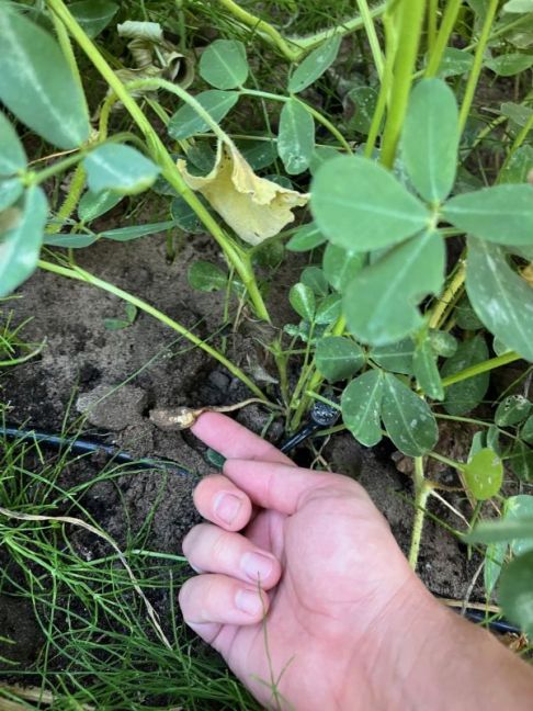 thumbnail_image3 (1).jpg