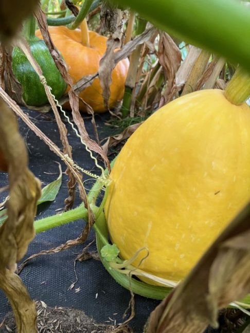 thumbnail_image3 (3).jpg