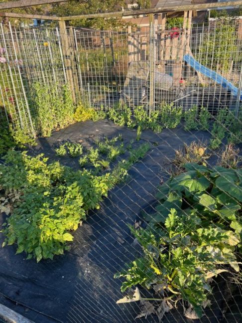 thumbnail_image3 (4).jpg