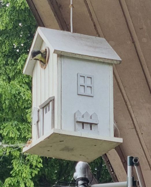 20250516_171623 gesneden.jpg