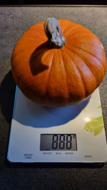 Plant 2 van R2, 888 gram.jpg