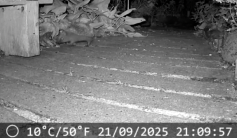 Scherm­afbeelding 2025-10-05 om 20.44.02.png