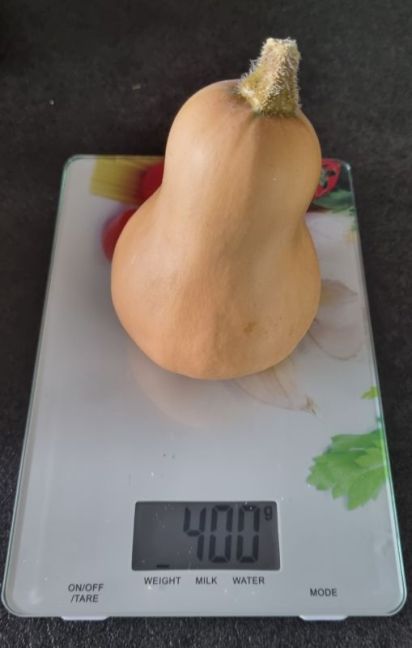 Uit R1, plant 2 no 4 JA.jpg