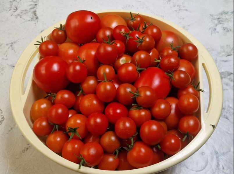 tomaten.jpg