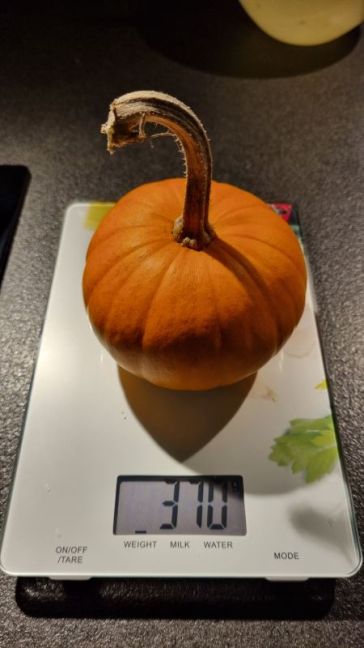 20251113_170109 - kopie.jpg