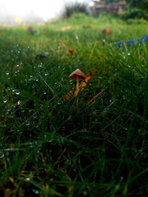 Afbeelding van WhatsApp op 2025-11-10 om 14.02.44_6e87fa3e.jpg