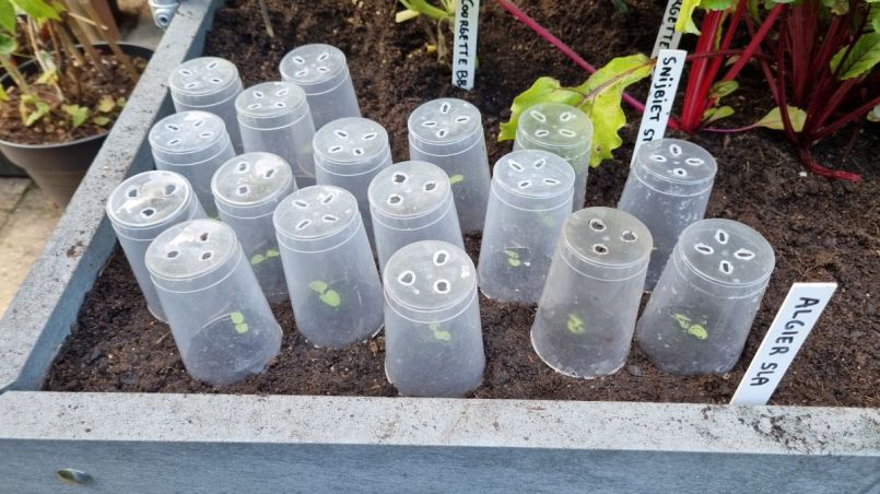 Een nacht met bekers.jpg