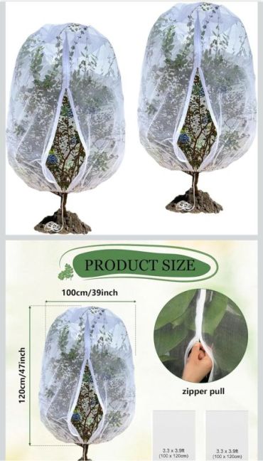 Screenshot_20251103_155239_Amazon Shopping.jpg