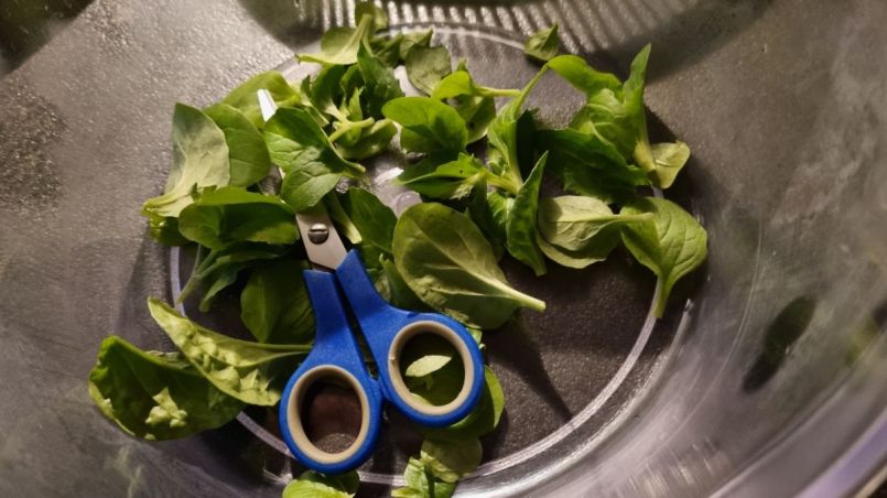 20251129 Algiersla.jpg