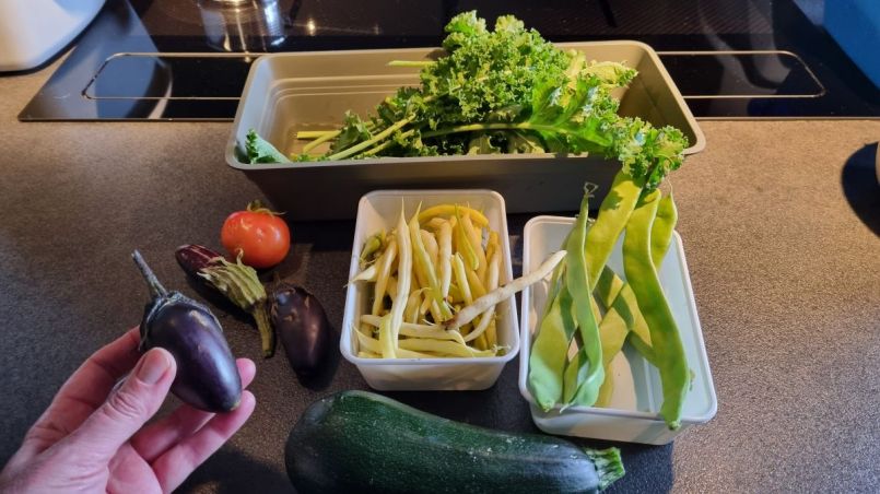 5 Vele bonen en boerenkool aubergines.jpg