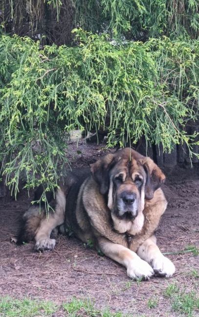 6 mei onder de boom 2.jpg